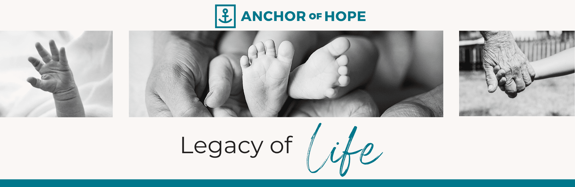 Donate Anchor of Hope